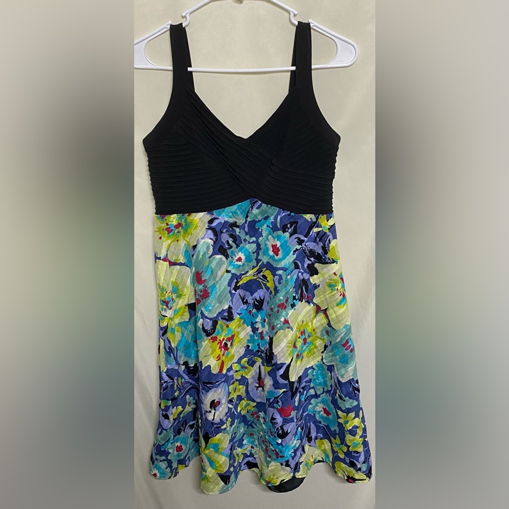 Signature by Robbie Bee dress